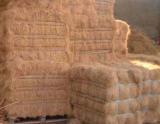 Long coconut fiber